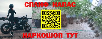 Альфа ПВП Жуковский