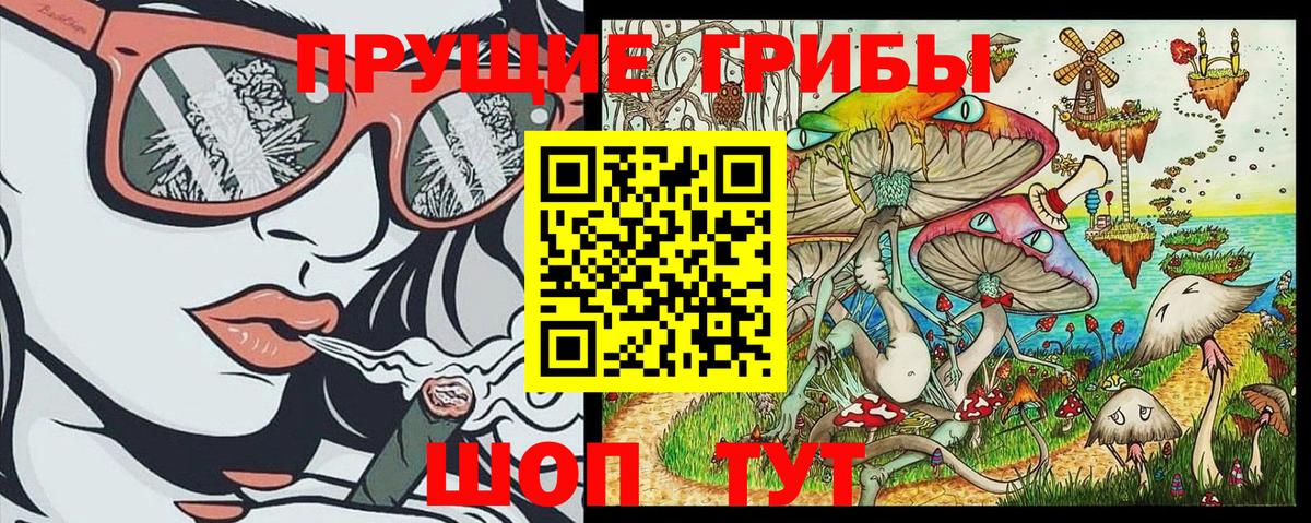 где можно купить   Вход с VPN  Южноуральск  Псилоцибиновые грибы GOLDEN TEACHER 